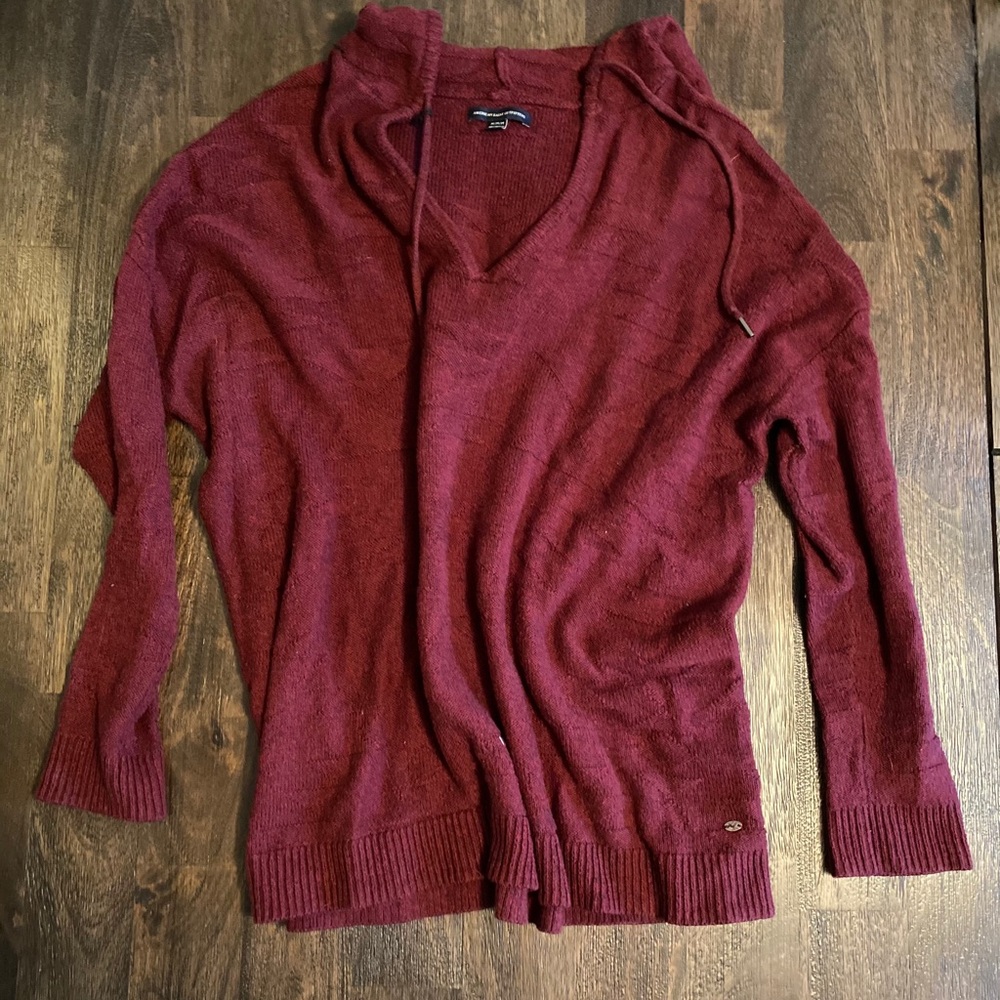 American Eagle Hooded Sweater